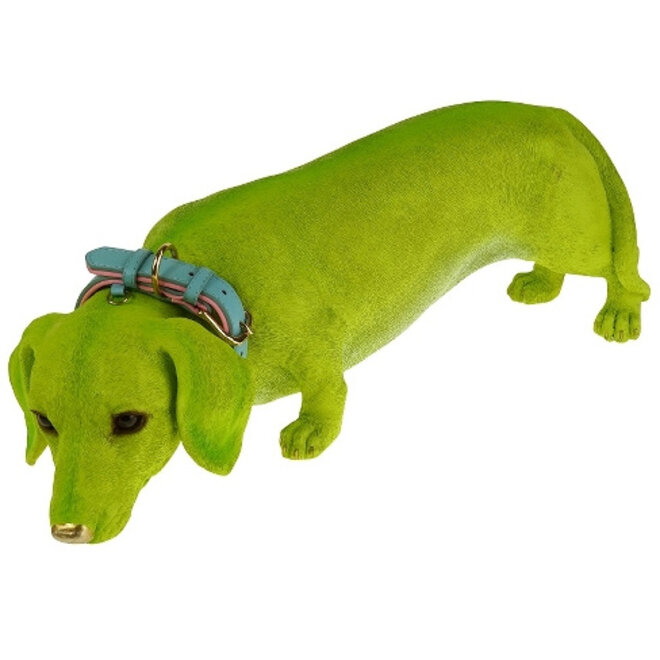 Groene Teckel Lasso met blauwe riem L56cm