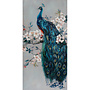 Canvas schilderij Romantic Peacock 70x140