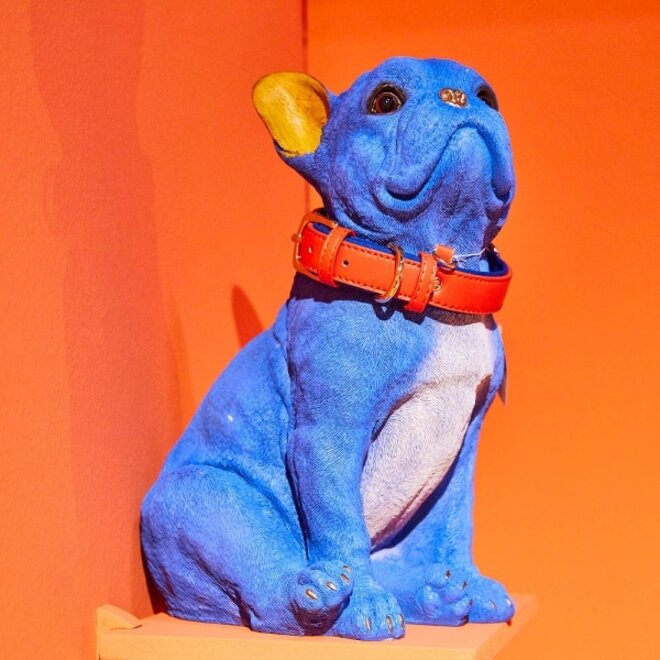 Blauwe Hond Molly met rode riem H35cm