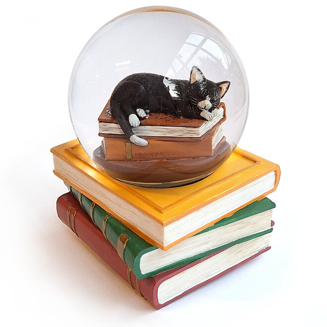 Sneeuwbol Slapende Kat op Boeken
