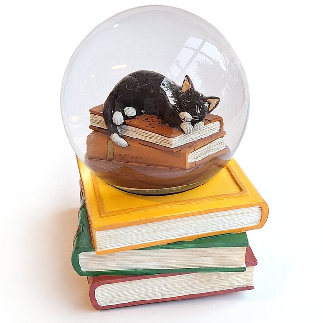 Sneeuwbol Slapende Kat op Boeken