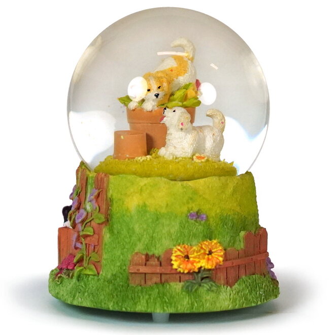 Sneeuwbol Honden in de tuin