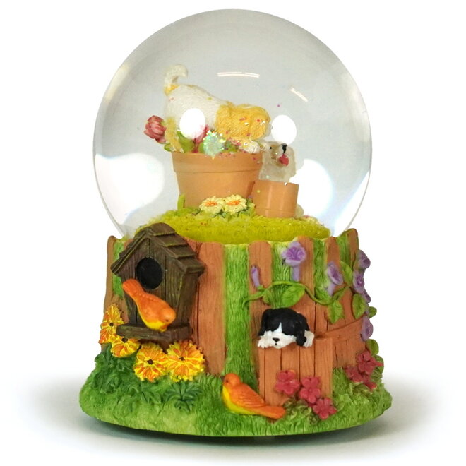 Sneeuwbol Honden in de tuin