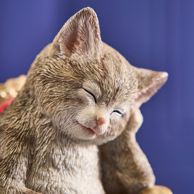 Kunststof Beeld, Slapende Poes Op Stoel H20cm