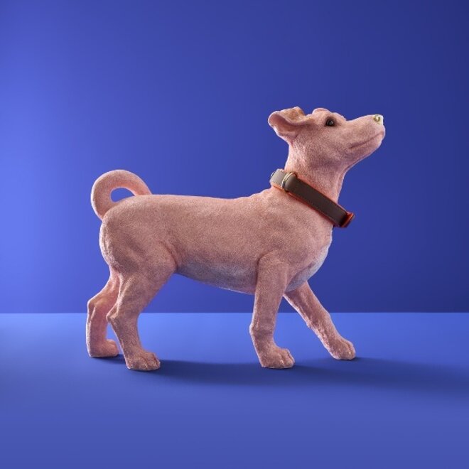 Roze Hond Charlie met bruin oranje riem L45cm