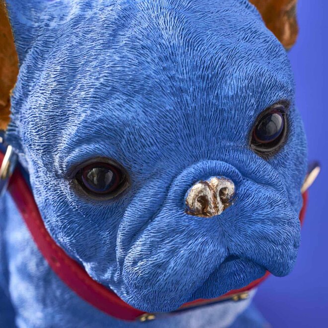 Blauwe Hond Molly met rode riem H35cm