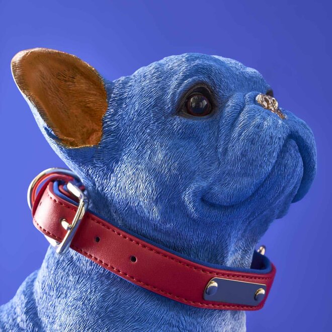 Blauwe Hond Molly met rode riem H35cm