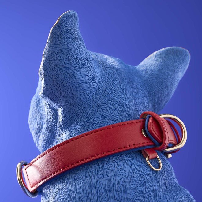 Blauwe Hond Molly met rode riem H35cm