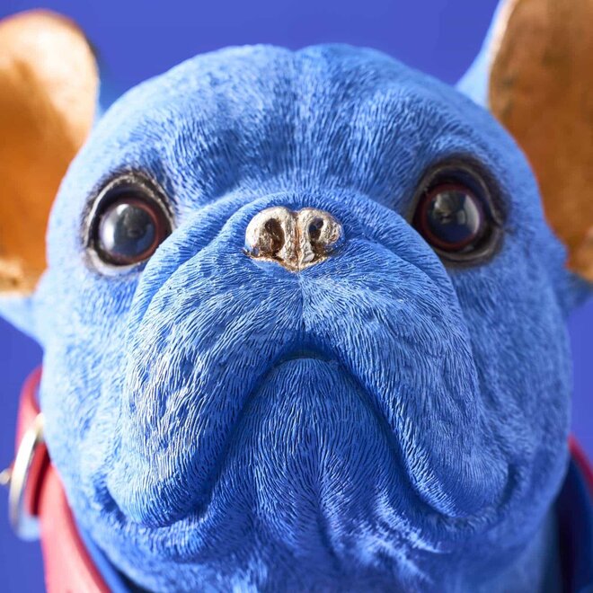 Blauwe Hond Molly met rode riem H35cm