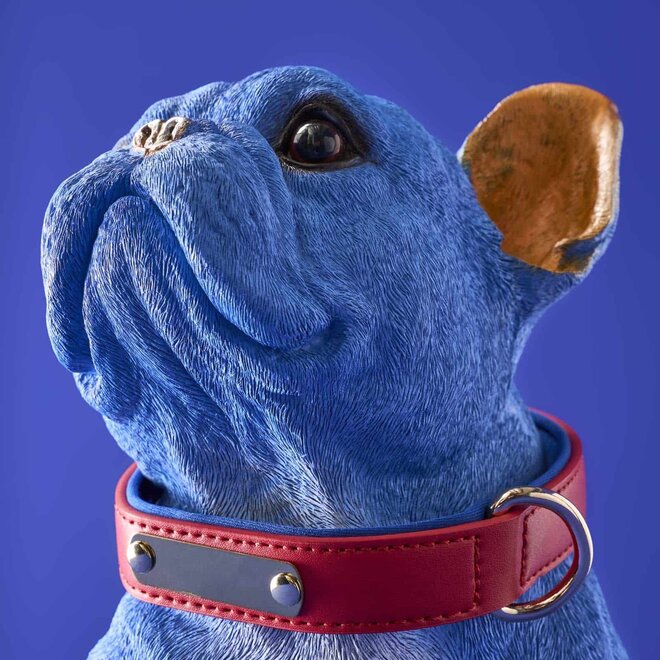 Blauwe Hond Molly met rode riem H35cm