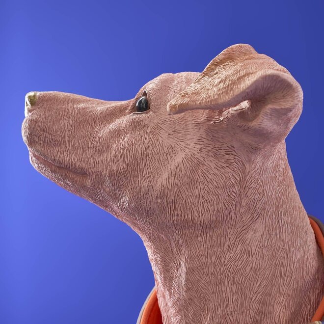 Roze Hond Charlie met bruin oranje riem L45cm