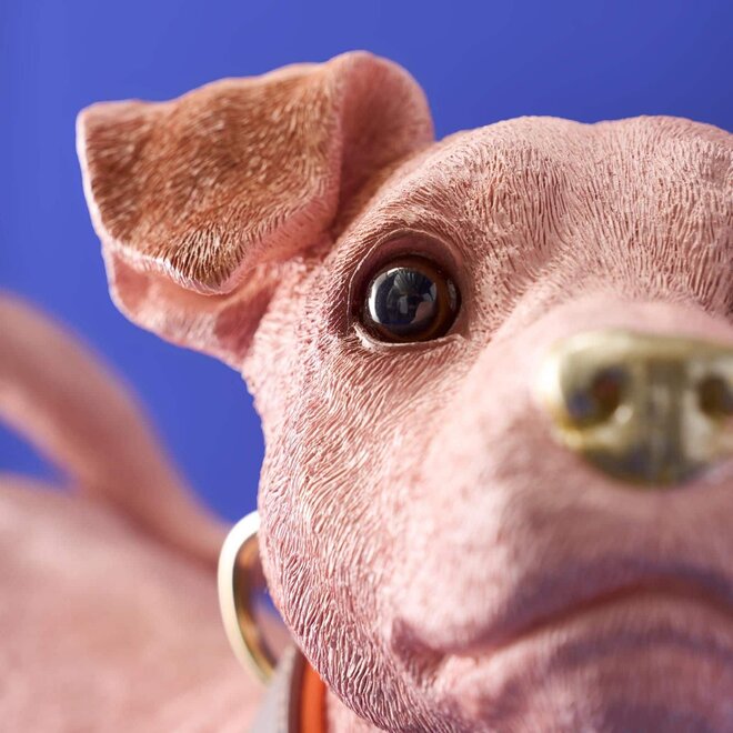 Roze Hond Charlie met bruin oranje riem L45cm