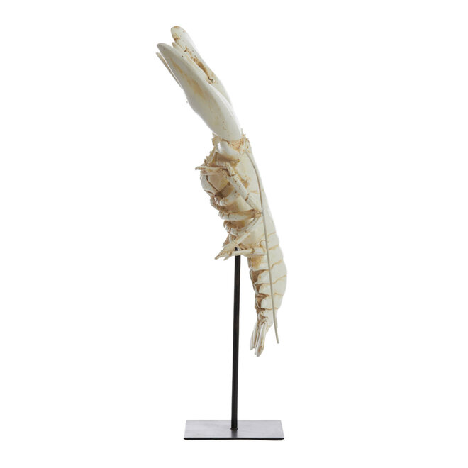 Tafel Ornament Kreeft H56cm