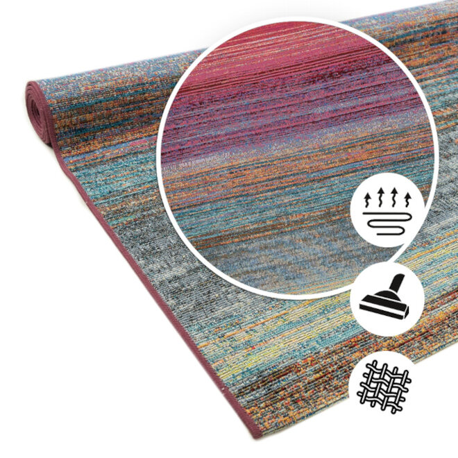 Binnen- en buitenvloerkleed Rainbow 120x170