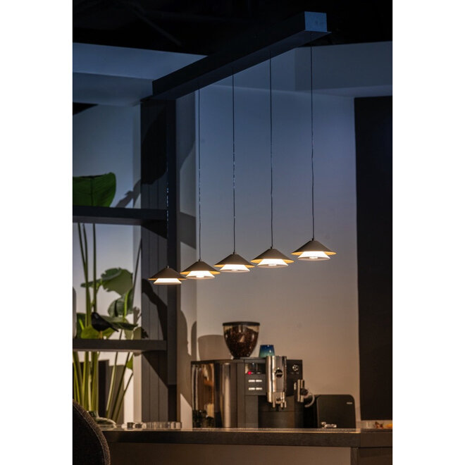 Hanglamp Jens, 5 lichts, aan balk L116 cm, hoogte instelbaar