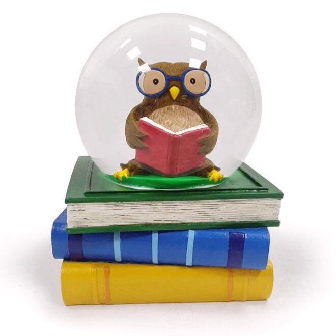 Sneeuwbol Wijze Uil op Boeken