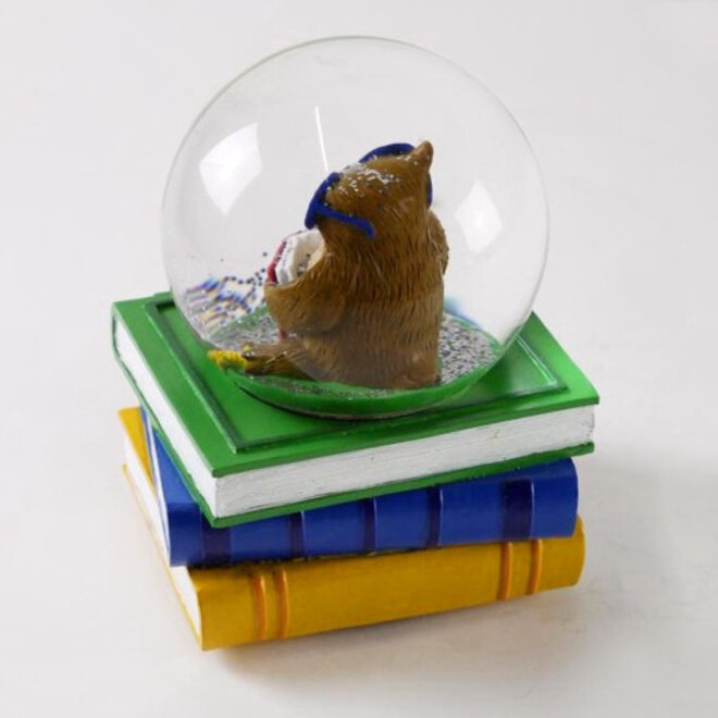 Sneeuwbol Wijze Uil op Boeken