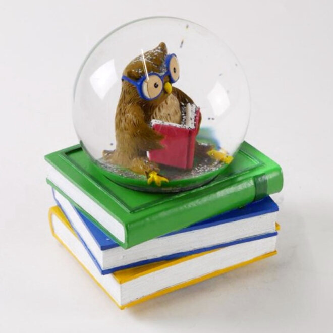 Sneeuwbol Wijze Uil op Boeken