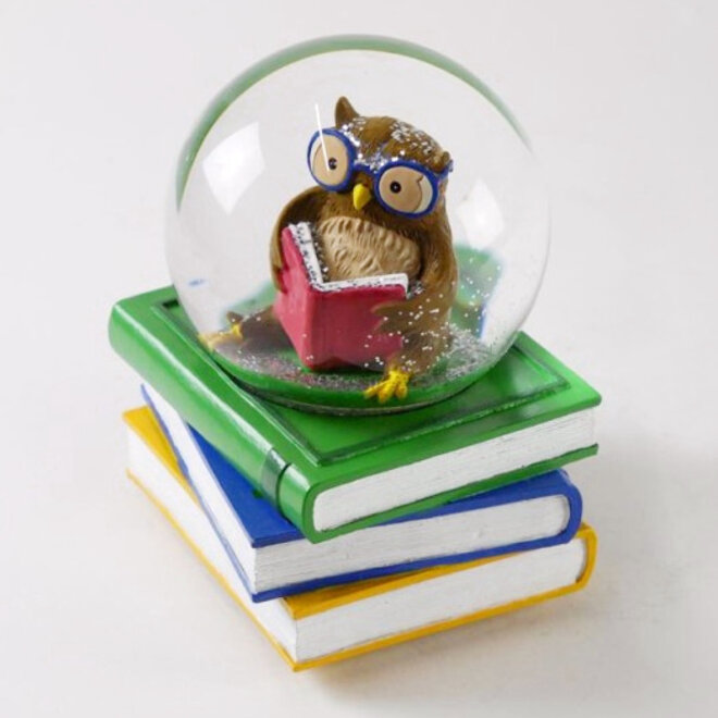 Sneeuwbol Wijze Uil op Boeken