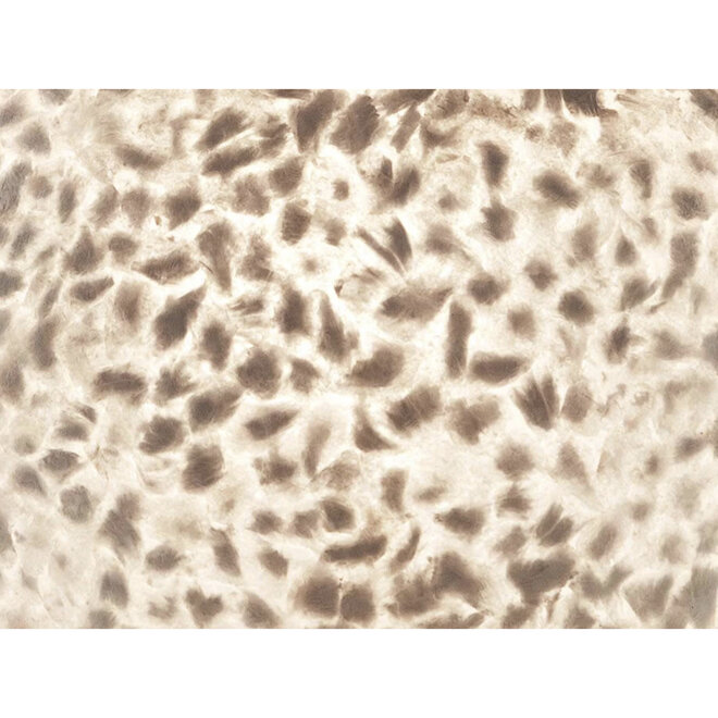 Villaflor schelpenlamp - Lampenkap Wangi White 55cm