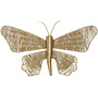 Wandornament Butterfly, goud 49x30cm