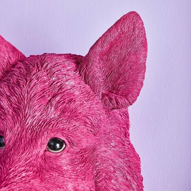 Wandlamp Wildzwijn Willy, roze H50cm