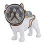 Deco Figuur 'SpaceDog' 21x25cm