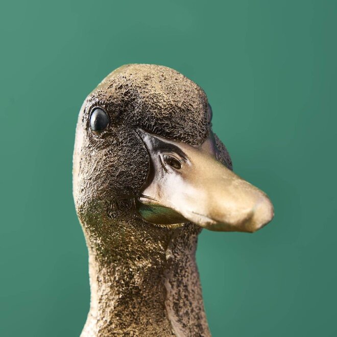 Ducky met Plateau H25cm