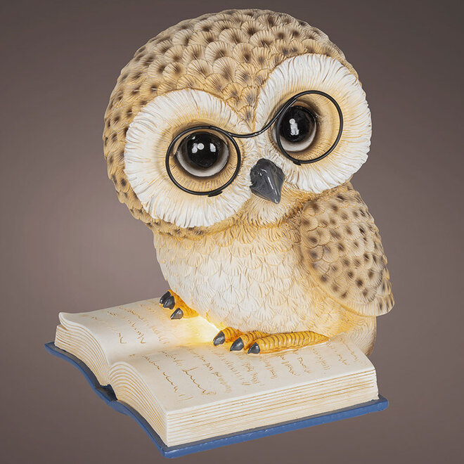 Beeld Lezende Uil, LED H24cm