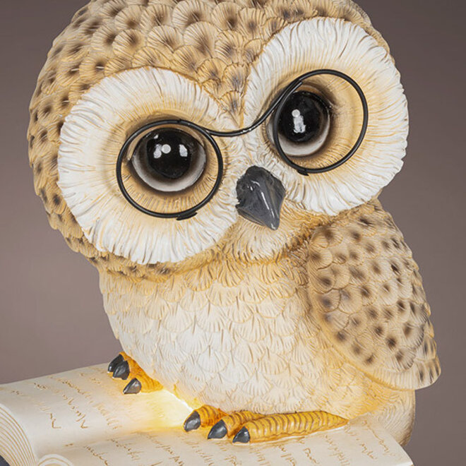 Beeld Lezende Uil, LED H24cm