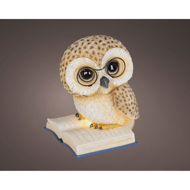 Beeld Lezende Uil, LED H24cm
