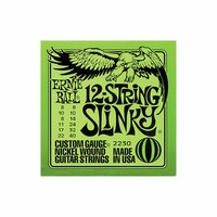 Ernie Ball 2230 12-string Slinky 8-40