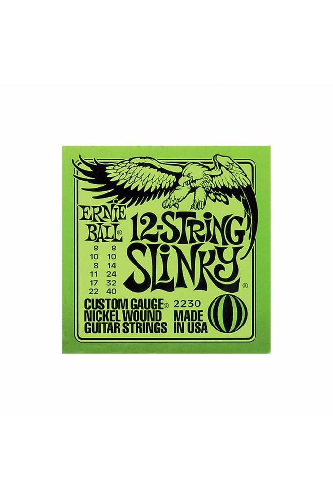 ernie ball 12 string acoustic