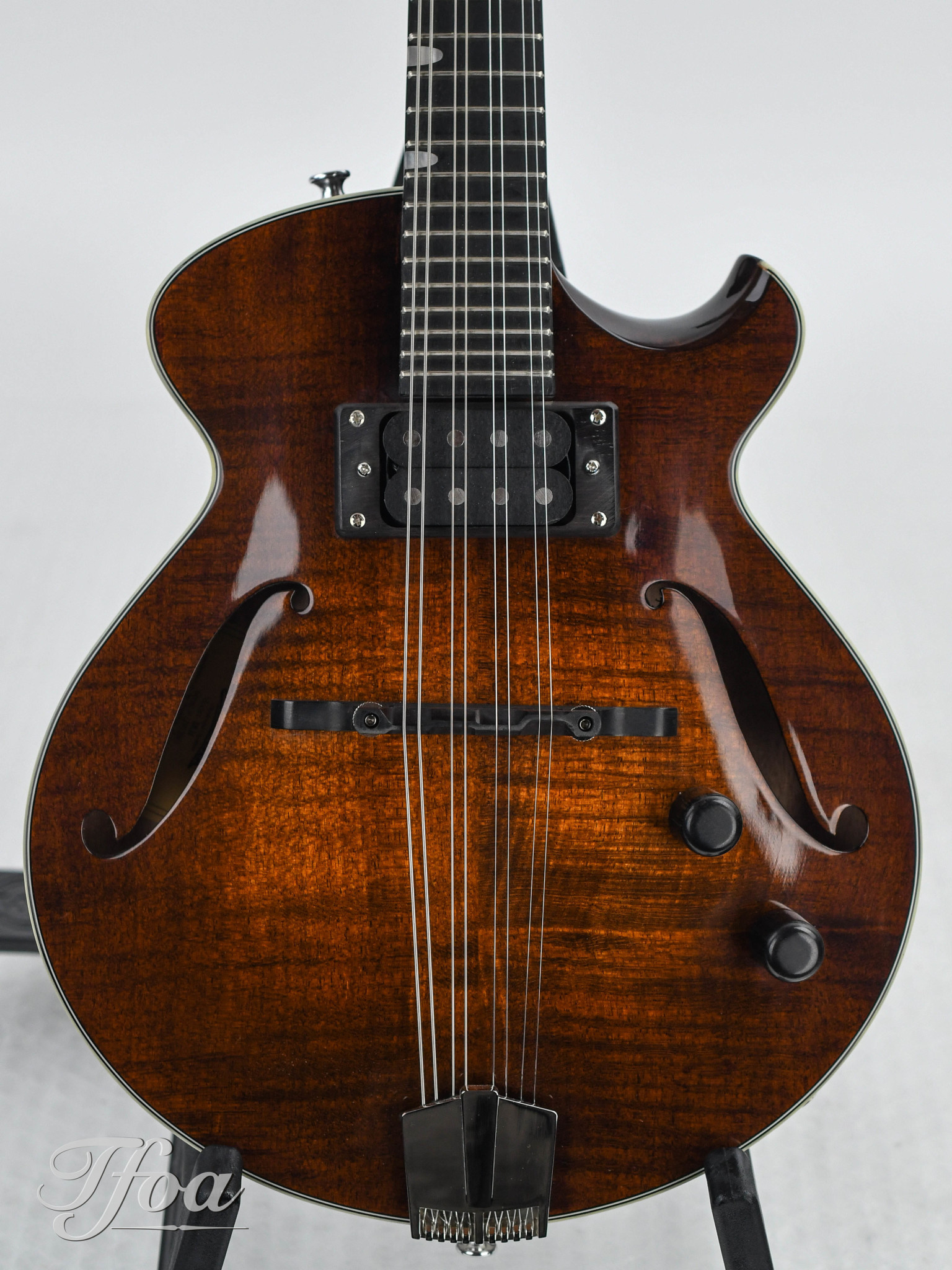 Eastman ERM El Rey Electric Mandolin The Fellowship of Acoustics