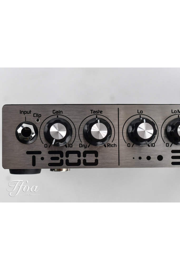 Eich T300 Bass Amp 300 Watt