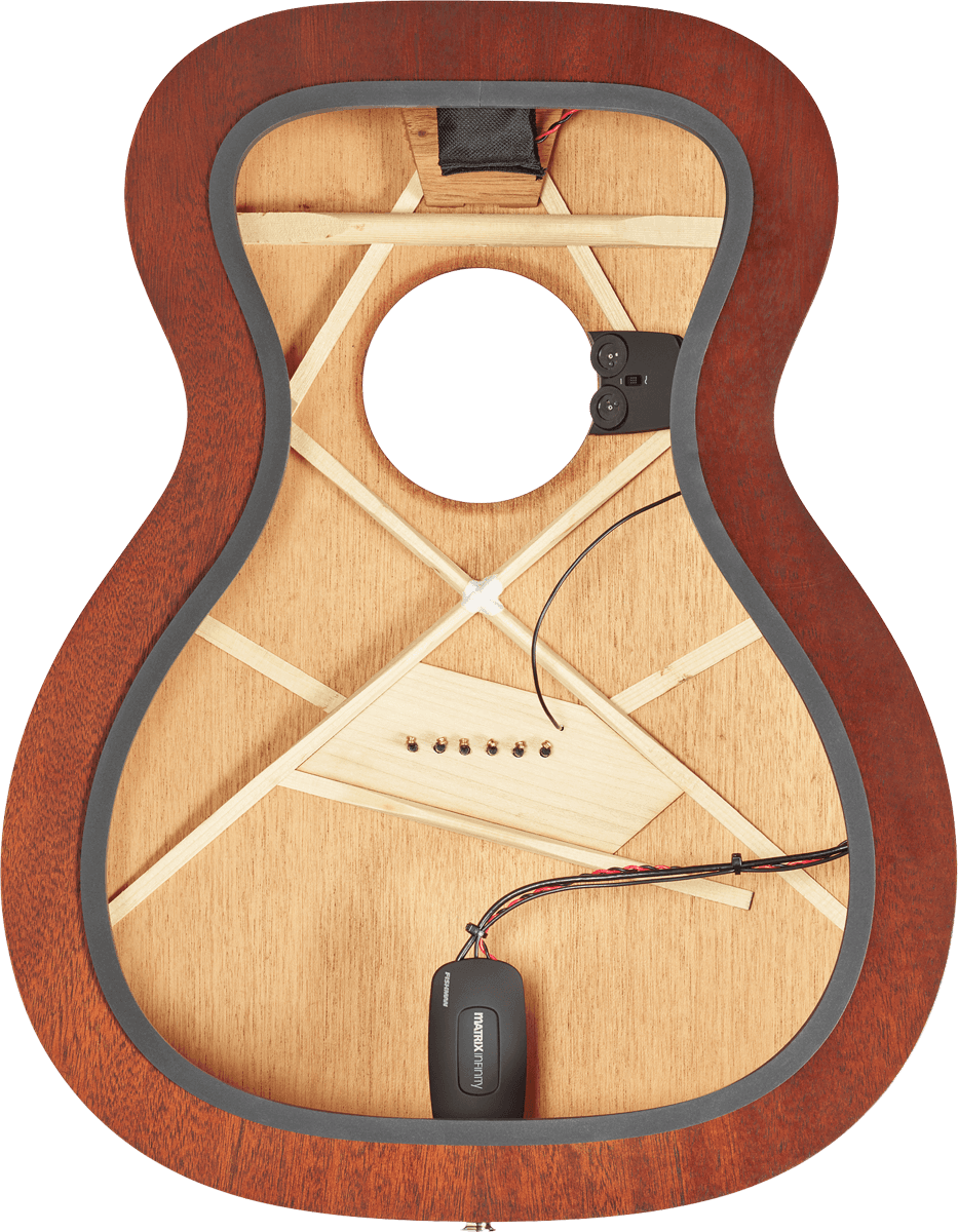 fishman pickup system