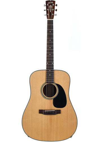 blueridge gitarre