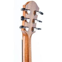 Stevens 000-P Shortscale Curly Indian Rosewood Bearclaw Spruce Recent