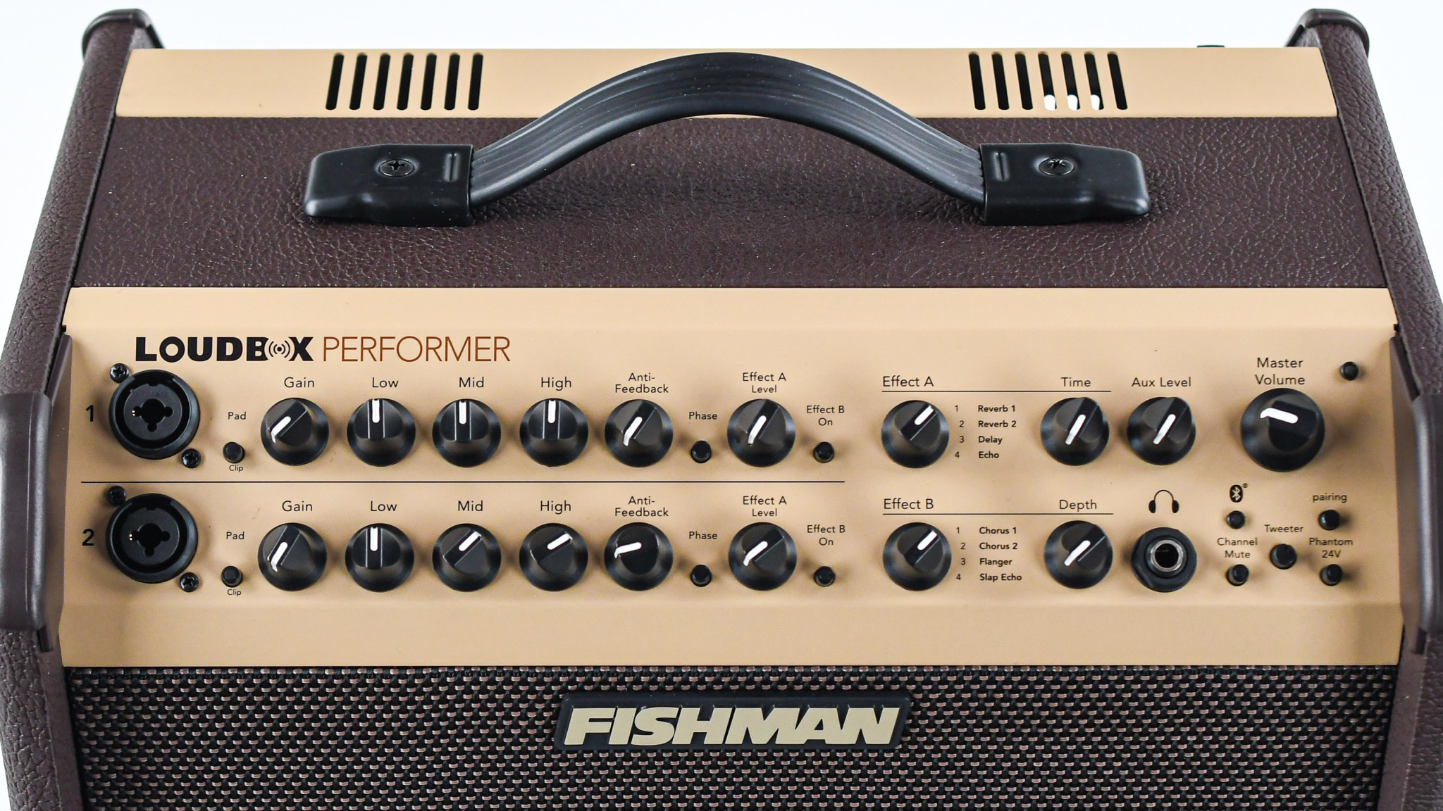 Fishman Loudbox Performer - The Fellowship of Acoustics