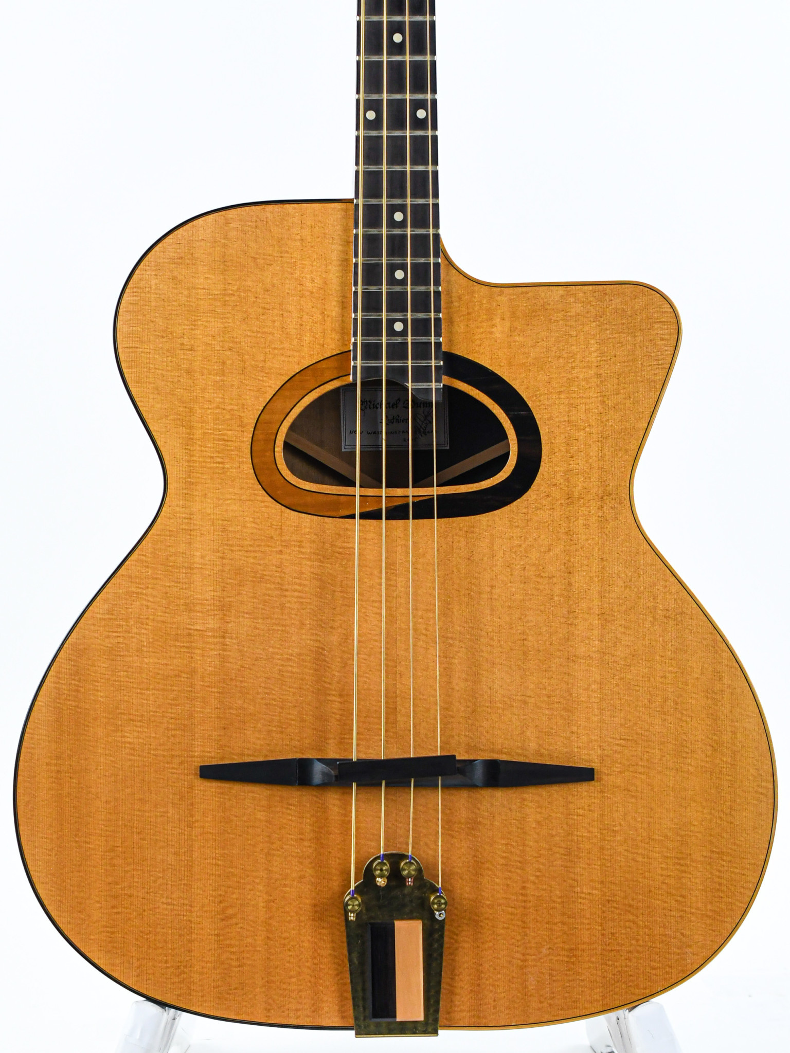 Michael Dunn Gypsy Bass Picasso 2005 The Fellowship of Acoustics