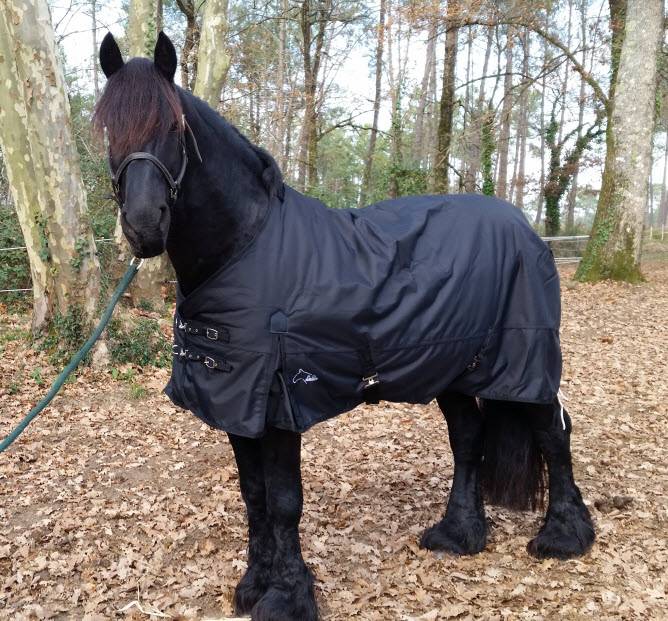 FRIESIAN BAROQUE EXTREME Turnout 1680D® LuBa Horseblankets