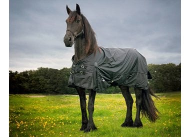 Friesian & Baroque blankets