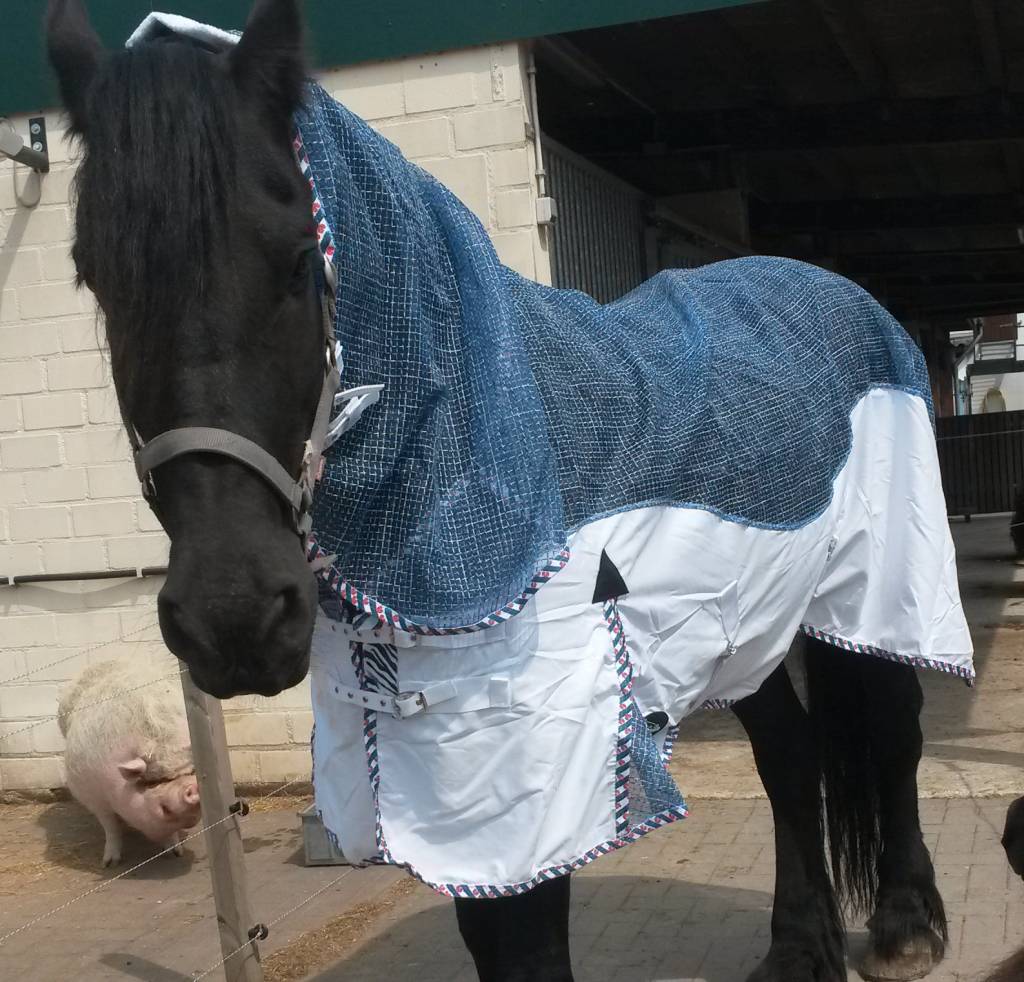 FRIESIAN BAROQUE Horseblankets Flysheet Combo LuBa Horseblankets