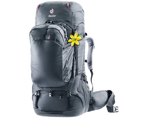 backpack met daypack