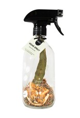 Pineut Pineut Wellness DIY Homespray Eucalyptus & Dennen-glas