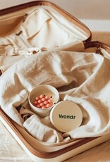 Wondr Wondr Travel Case-aluminium