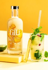 Gili Gili Zesty Gember Elexir Bio-500ml