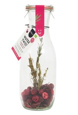 Pineut Pineut Watertwist Kers/Cranberry/Rozemarijn Bio-Karaf 750ml