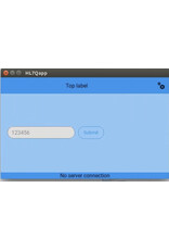cnaps HL7 query app