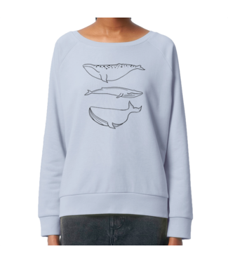 Boylo's Womens Whale Jumper - Serene Blue